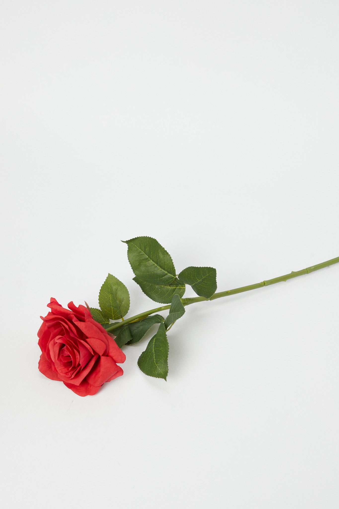 Redtag-Red-Artificial-Single-Rose-Stick-Category:Plants-&-Flowers,-Colour:Red,-Deals:New-In,-Dept:Home,-Filter:Home-Decor,-H1:HMW,-H2:HOM,-H3:DEA,-H4:DCA,-HMW-HOM-Decorative-Accessories,-New-In-HMW-HOM,-Non-Sale,-Promo:PERIGOLD,-S23A,-Season:S23B,-Section:Homewares,-Style:FLOWER-STICK-Home-Decor-