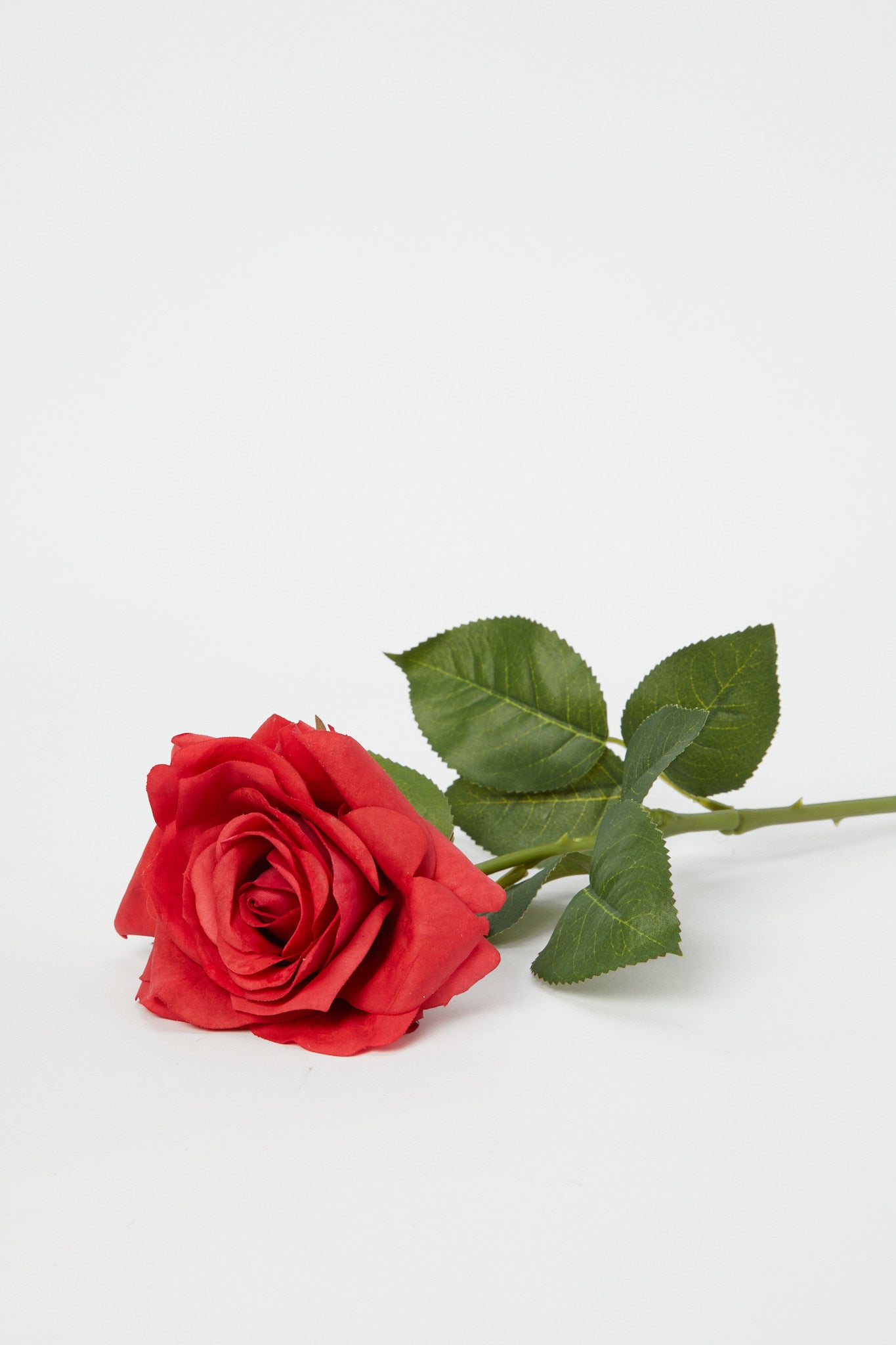 Redtag-Red-Artificial-Single-Rose-Stick-Category:Plants-&-Flowers,-Colour:Red,-Deals:New-In,-Dept:Home,-Filter:Home-Decor,-H1:HMW,-H2:HOM,-H3:DEA,-H4:DCA,-HMW-HOM-Decorative-Accessories,-New-In-HMW-HOM,-Non-Sale,-Promo:PERIGOLD,-S23A,-Season:S23B,-Section:Homewares,-Style:FLOWER-STICK-Home-Decor-