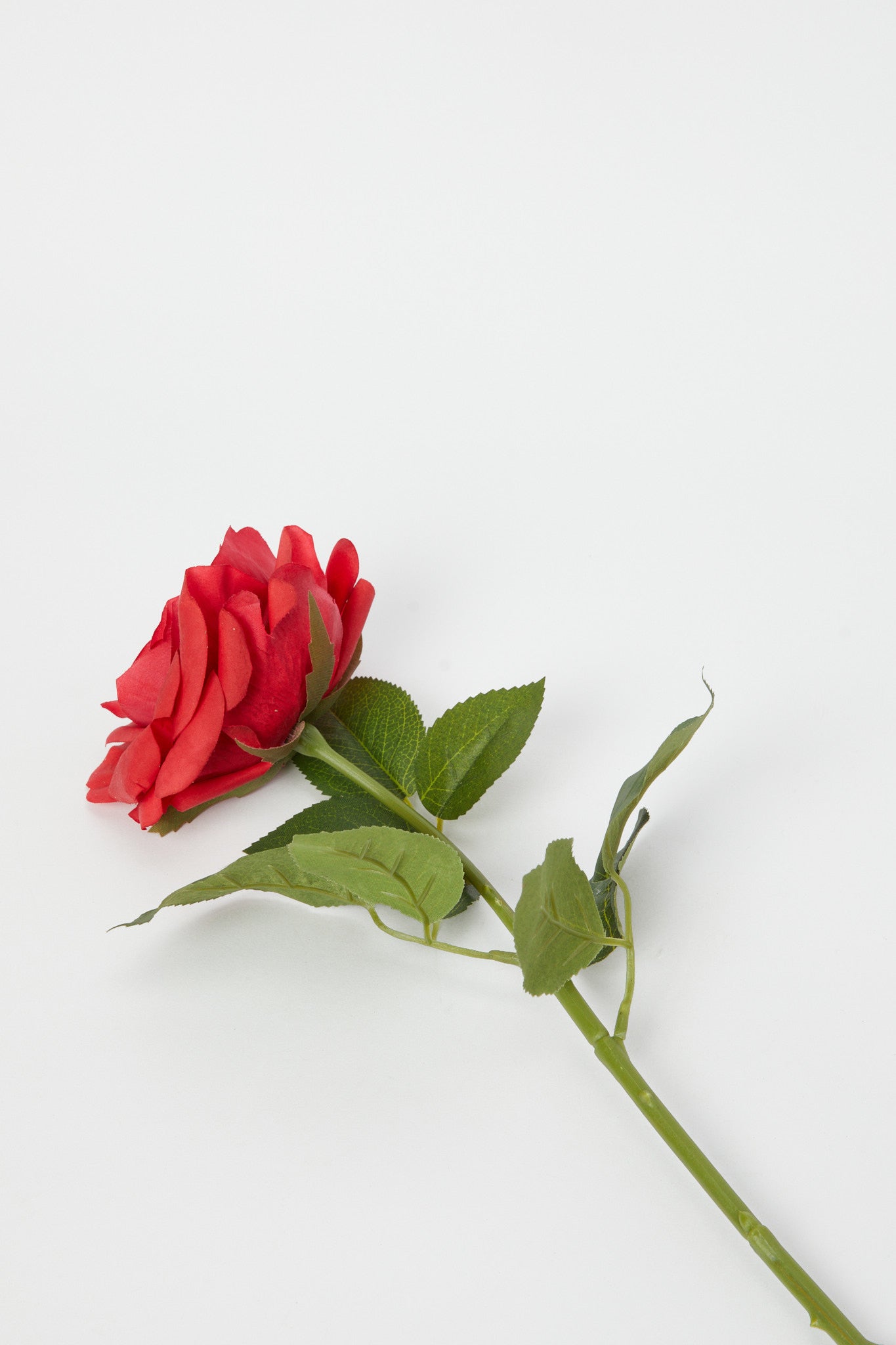 Redtag-Red-Artificial-Single-Rose-Stick-Category:Plants-&-Flowers,-Colour:Red,-Deals:New-In,-Dept:Home,-Filter:Home-Decor,-H1:HMW,-H2:HOM,-H3:DEA,-H4:DCA,-HMW-HOM-Decorative-Accessories,-New-In-HMW-HOM,-Non-Sale,-Promo:PERIGOLD,-S23A,-Season:S23B,-Section:Homewares,-Style:FLOWER-STICK-Home-Decor-