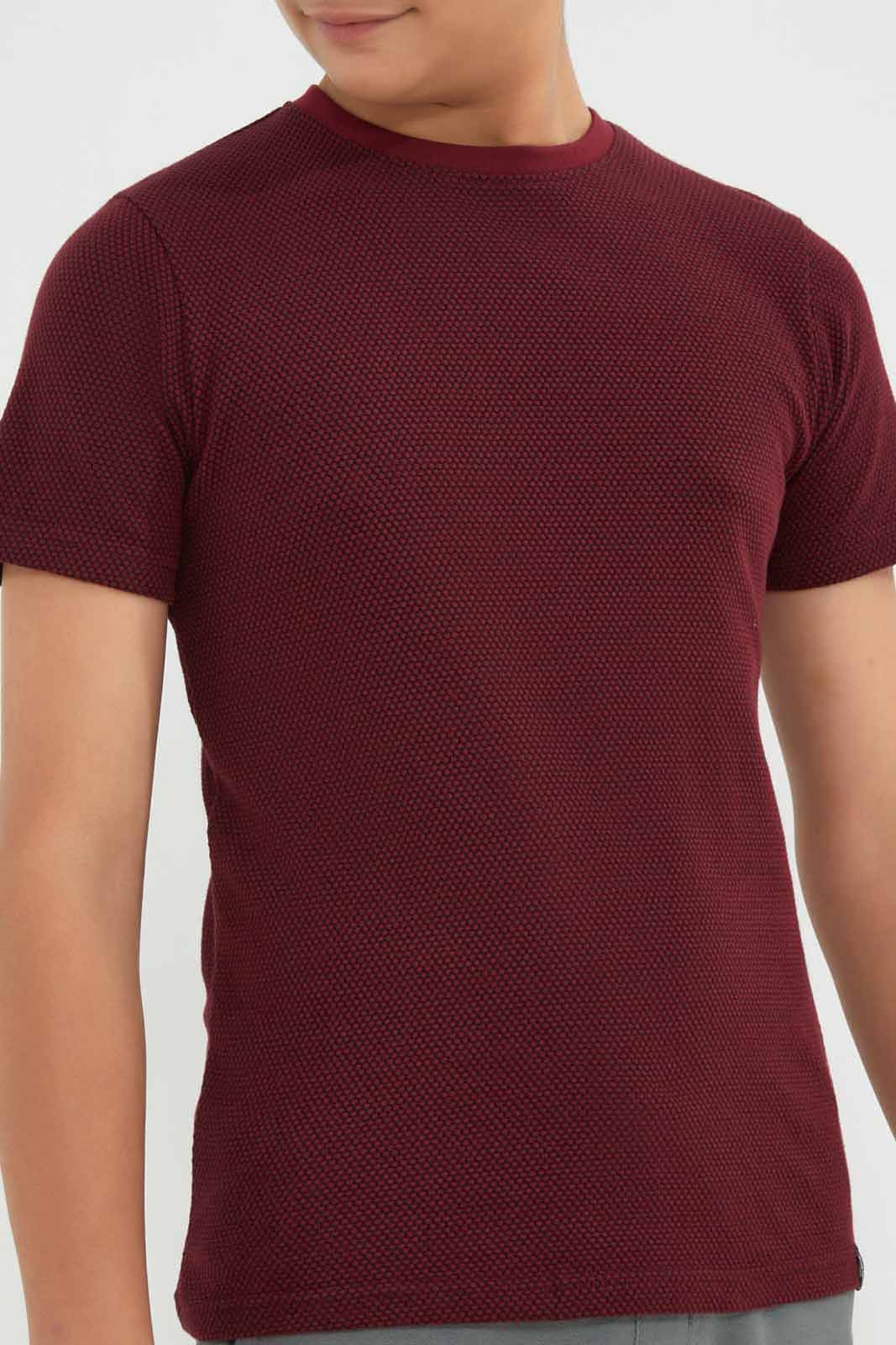 Redtag-Boys-Burgundy-Plain-Jacquard-Tee-BSR-T-Shirts,-Category:T-Shirts,-Colour:Burgundy,-Deals:New-In,-Filter:Senior-Boys-(8-to-14-Yrs),-New-In-BSR-APL,-Non-Sale,-Section:Boys-(0-to-14Yrs),-W22B-Senior-Boys-9 to 14 Years