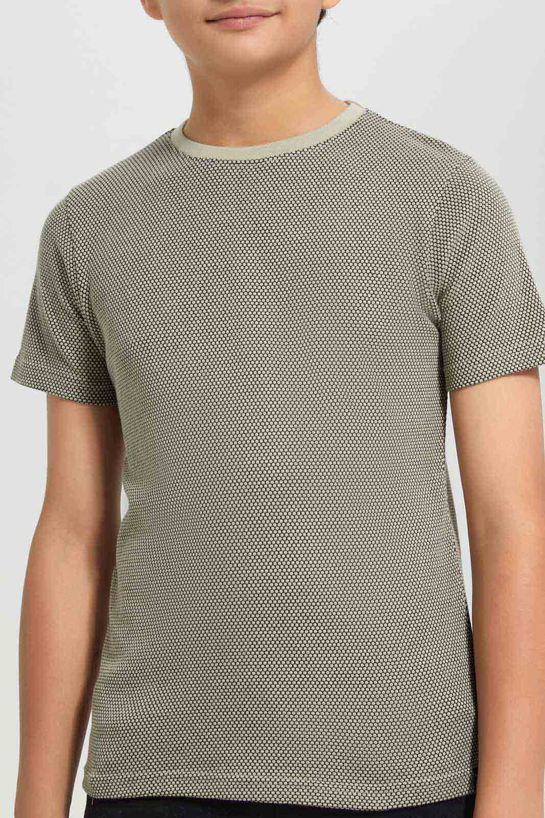 Redtag-Boys-Beige-Plain-Jacquard-Tee-BSR-T-Shirts,-Category:T-Shirts,-Colour:Beige,-Deals:New-In,-Filter:Senior-Boys-(8-to-14-Yrs),-New-In-BSR-APL,-Non-Sale,-Section:Boys-(0-to-14Yrs),-W22B-Senior-Boys-9 to 14 Years