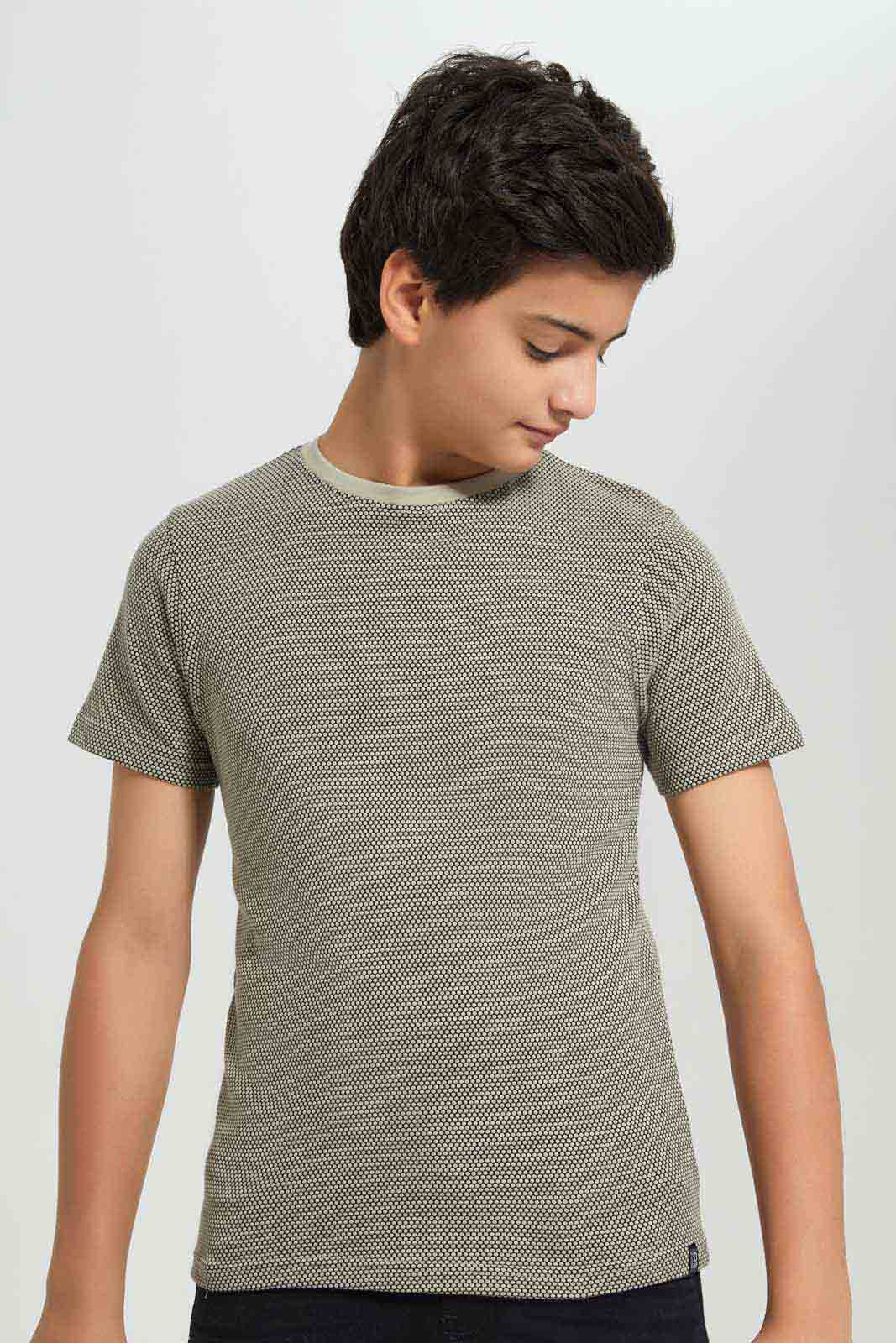 Redtag-Boys-Beige-Plain-Jacquard-Tee-BSR-T-Shirts,-Category:T-Shirts,-Colour:Beige,-Deals:New-In,-Filter:Senior-Boys-(8-to-14-Yrs),-New-In-BSR-APL,-Non-Sale,-Section:Boys-(0-to-14Yrs),-W22B-Senior-Boys-9 to 14 Years
