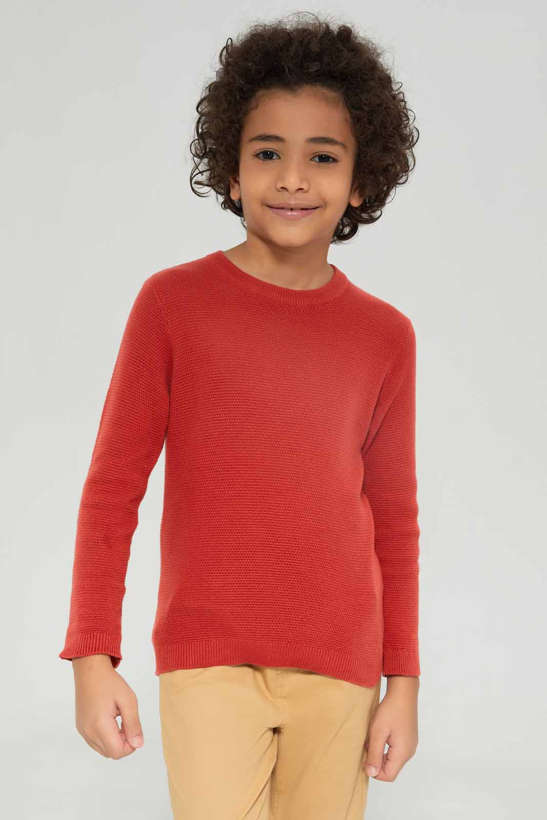 Redtag-Boys-Rust-Crewneck-Jumper-BOY-Pullovers,-Category:Pullovers,-Colour:Brown,-Deals:New-In,-Dept:Boys,-Filter:Boys-(2-to-8-Yrs),-New-In-BOY-APL,-Non-Sale,-Section:Boys-(0-to-14Yrs),-TBL,-W22A-Boys-2 to 8 Years