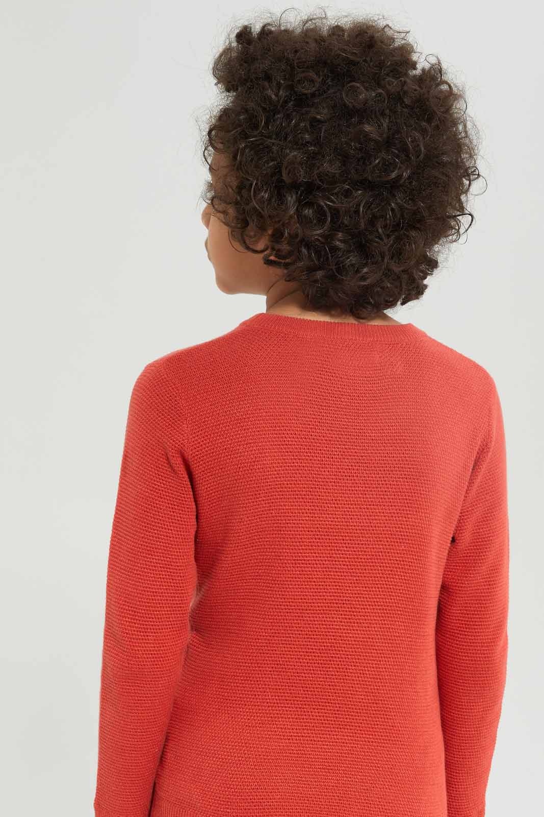 Redtag-Boys-Rust-Crewneck-Jumper-BOY-Pullovers,-Category:Pullovers,-Colour:Brown,-Deals:New-In,-Dept:Boys,-Filter:Boys-(2-to-8-Yrs),-New-In-BOY-APL,-Non-Sale,-Section:Boys-(0-to-14Yrs),-TBL,-W22A-Boys-2 to 8 Years