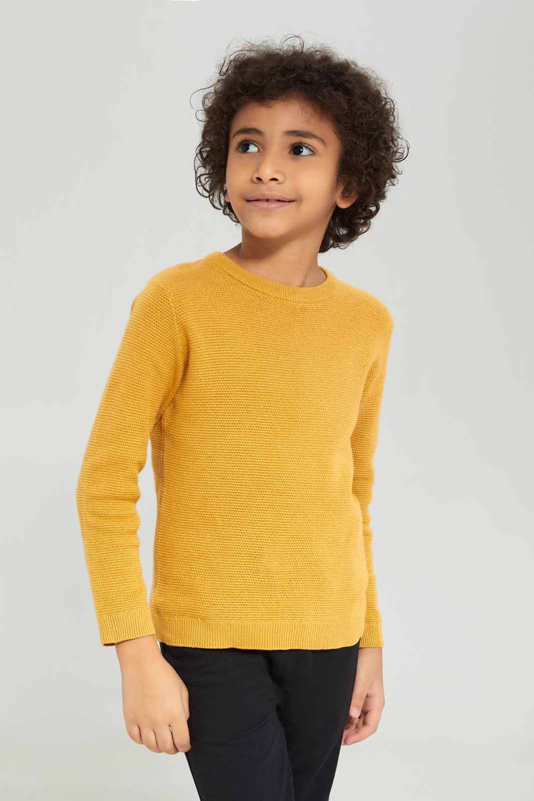 Redtag-Boys-Yellow-Crewneck-Jumper-BOY-Pullovers,-Category:Pullovers,-Colour:Yellow,-Deals:New-In,-Dept:Boys,-Filter:Boys-(2-to-8-Yrs),-New-In-BOY-APL,-Non-Sale,-Section:Boys-(0-to-14Yrs),-TBL,-W22A-Boys-2 to 8 Years