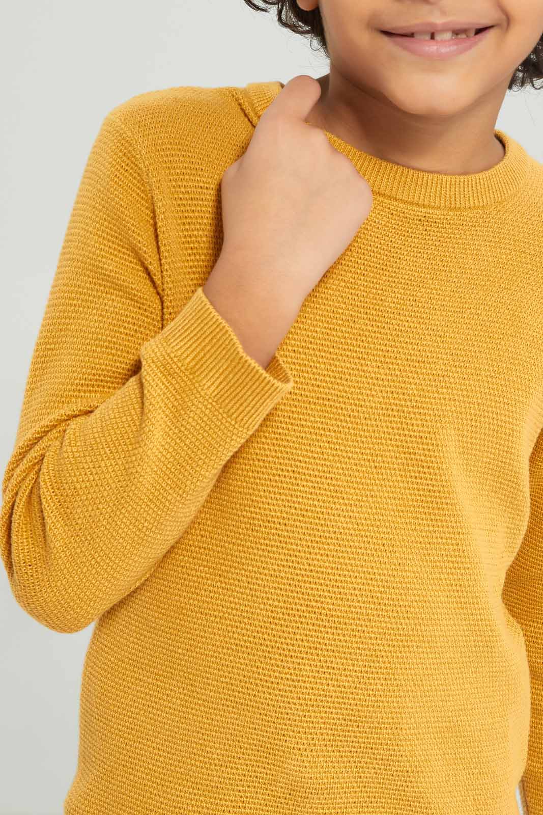 Redtag-Boys-Yellow-Crewneck-Jumper-BOY-Pullovers,-Category:Pullovers,-Colour:Yellow,-Deals:New-In,-Dept:Boys,-Filter:Boys-(2-to-8-Yrs),-New-In-BOY-APL,-Non-Sale,-Section:Boys-(0-to-14Yrs),-TBL,-W22A-Boys-2 to 8 Years
