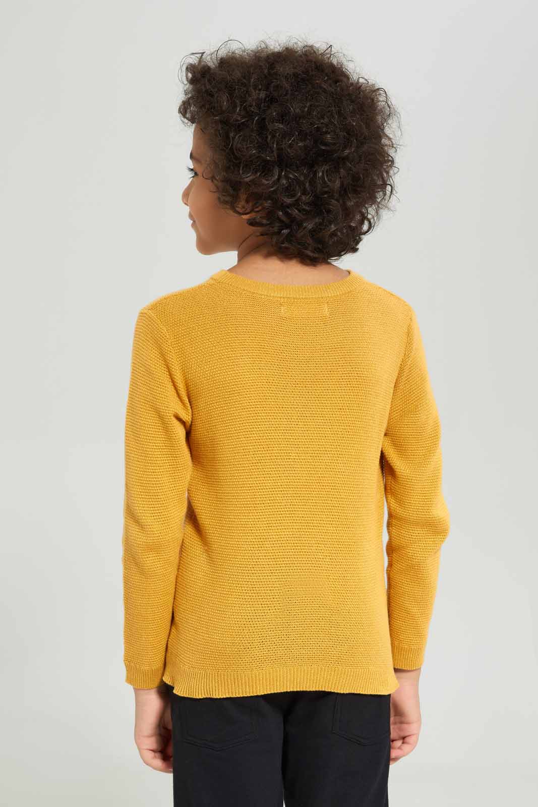 Redtag-Boys-Yellow-Crewneck-Jumper-BOY-Pullovers,-Category:Pullovers,-Colour:Yellow,-Deals:New-In,-Dept:Boys,-Filter:Boys-(2-to-8-Yrs),-New-In-BOY-APL,-Non-Sale,-Section:Boys-(0-to-14Yrs),-TBL,-W22A-Boys-2 to 8 Years