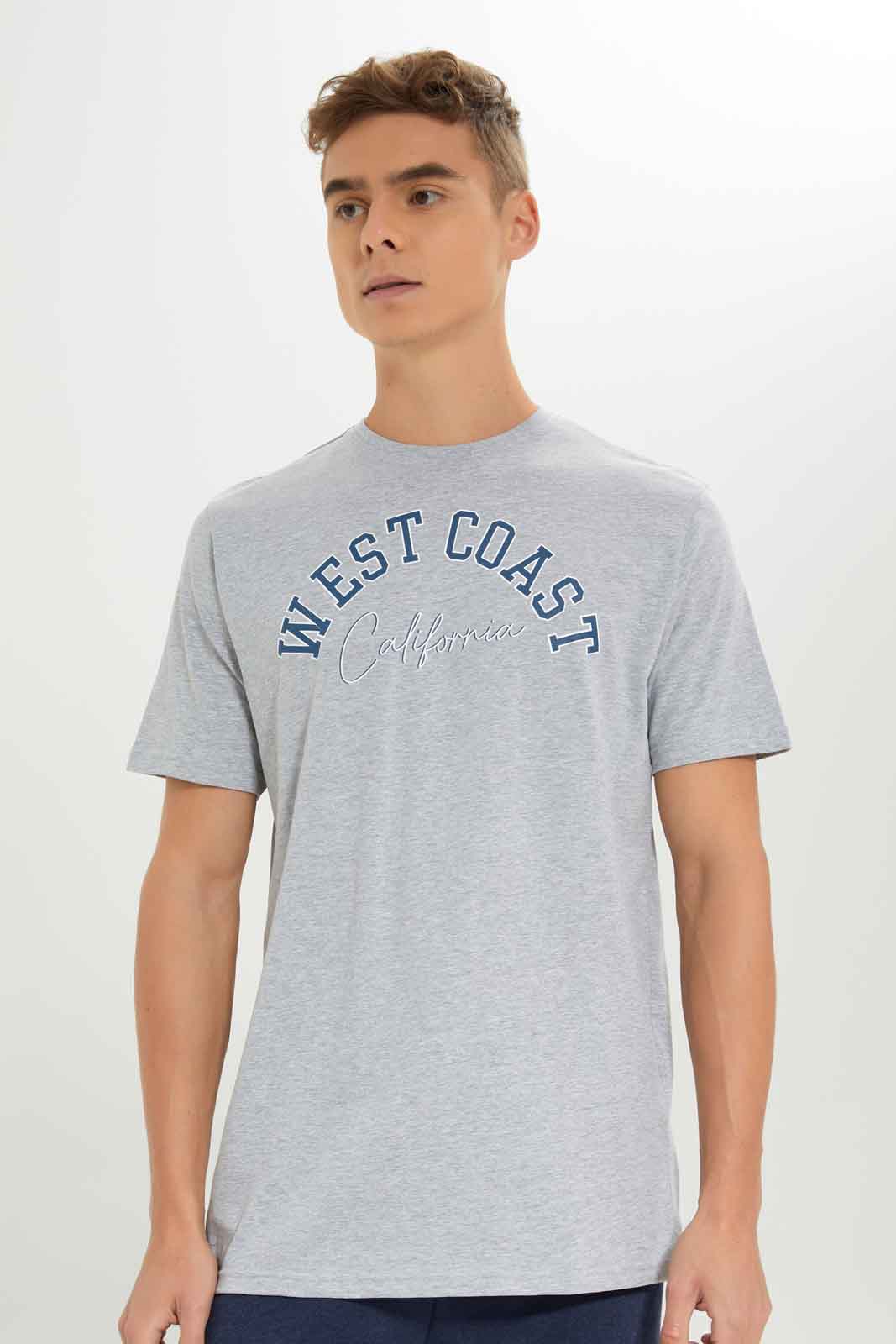 Redtag-Men-Grey-Graphic-T-Shirt-Category:T-Shirts,-Colour:Grey,-Deals:New-In,-Dept:Menswear,-Filter:Men's-Clothing,-Men-T-Shirts,-New-In-Men-APL,-Non-Sale,-S23A,-Section:Men,-TBL-Men's-