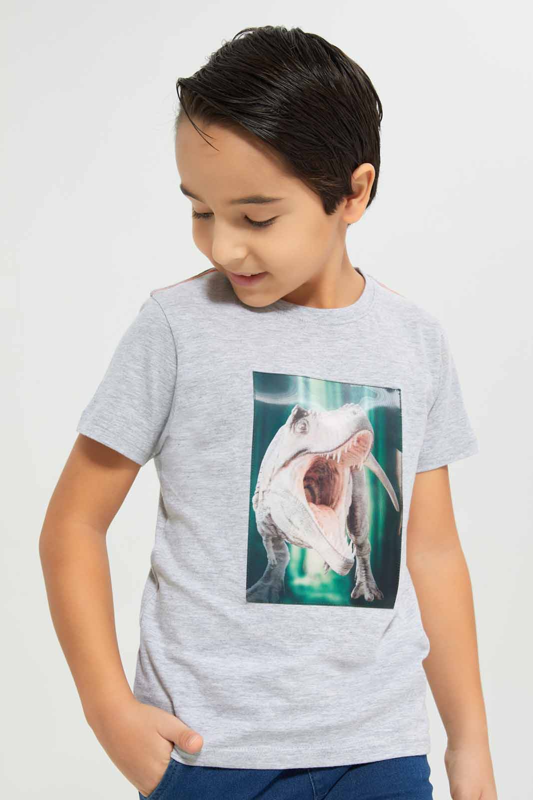 Redtag-Boys-Grey-Dino-Lenticular-T-Shirt-With-Kint-Denim-Shorts-BOY-Sets,-Category:Sets,-Colour:Grey,-Deals:New-In,-Dept:Boys,-Filter:Boys-(2-to-8-Yrs),-New-In-BOY-APL,-Non-Sale,-S23A,-Section:Boys-(0-to-14Yrs)-Boys-2 to 8 Years
