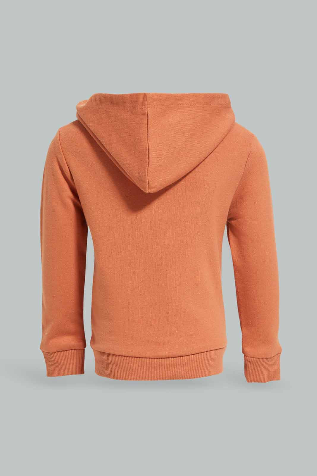 Redtag-Boys-Rust-Hoody-Plain-Sweatshirt-With-Kangaroo-Pocket-Category:Sweatshirts,-Colour:Orange,-Deals:New-In,-Dept:Boys,-Filter:Infant-Boys-(3-to-24-Mths),-INB-Sweatshirts,-New-In-INB-APL,-Non-Sale,-S23A,-Section:Boys-(0-to-14Yrs),-TBL-Infant-Boys-3 to 24 Months