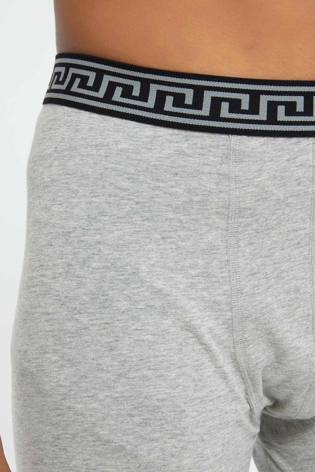 Men Grey Hipster Brief Set (Pack of 2)