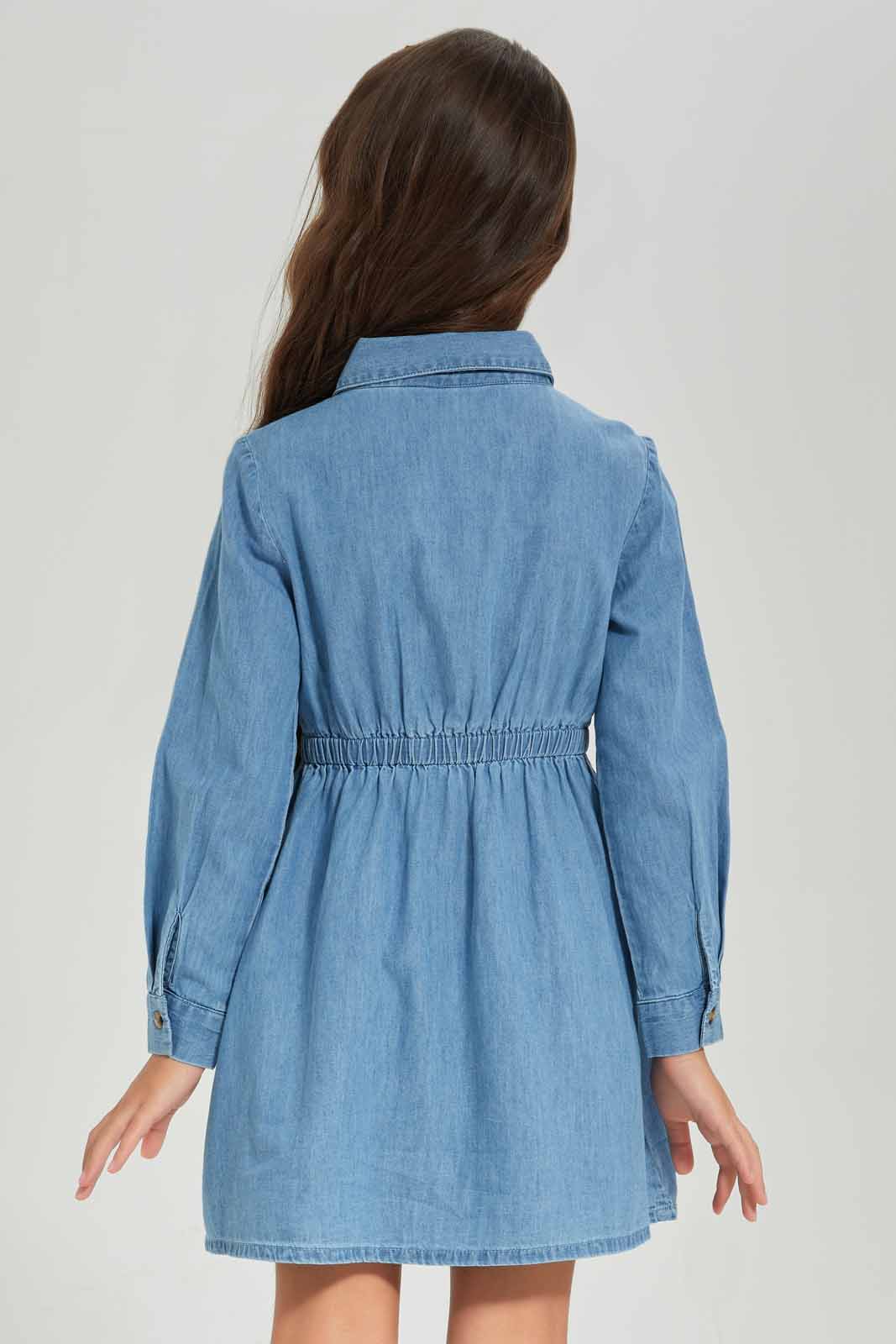 Redtag-Girls-Blue-Ls-Shirt-Dress-Chambray-Category:Dresses,-Colour:Blue,-Deals:New-In,-Dept:Girls,-Filter:Girls-(2-to-8-Yrs),-GIR-Dresses,-New-In-GIR-APL,-Non-Sale,-S23A,-Section:Girls-(0-to-14Yrs)-Girls-2 to 8 Years