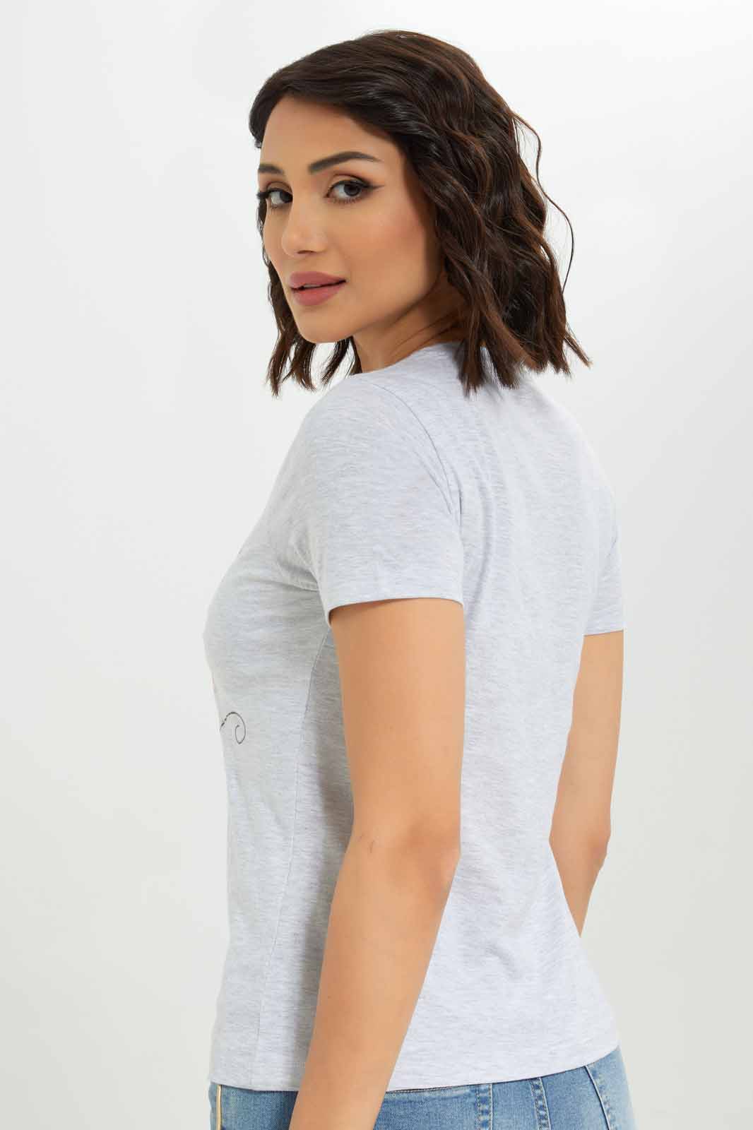 Redtag-Women-Graphic-Front-Print-T-Shirt-Category:T-Shirts,-Colour:Grey,-Deals:New-In,-Dept:Ladieswear,-Filter:Women's-Clothing,-New-In-Women-APL,-Non-Sale,-S23A,-Section:Women,-Women-T-Shirts-Women's-
