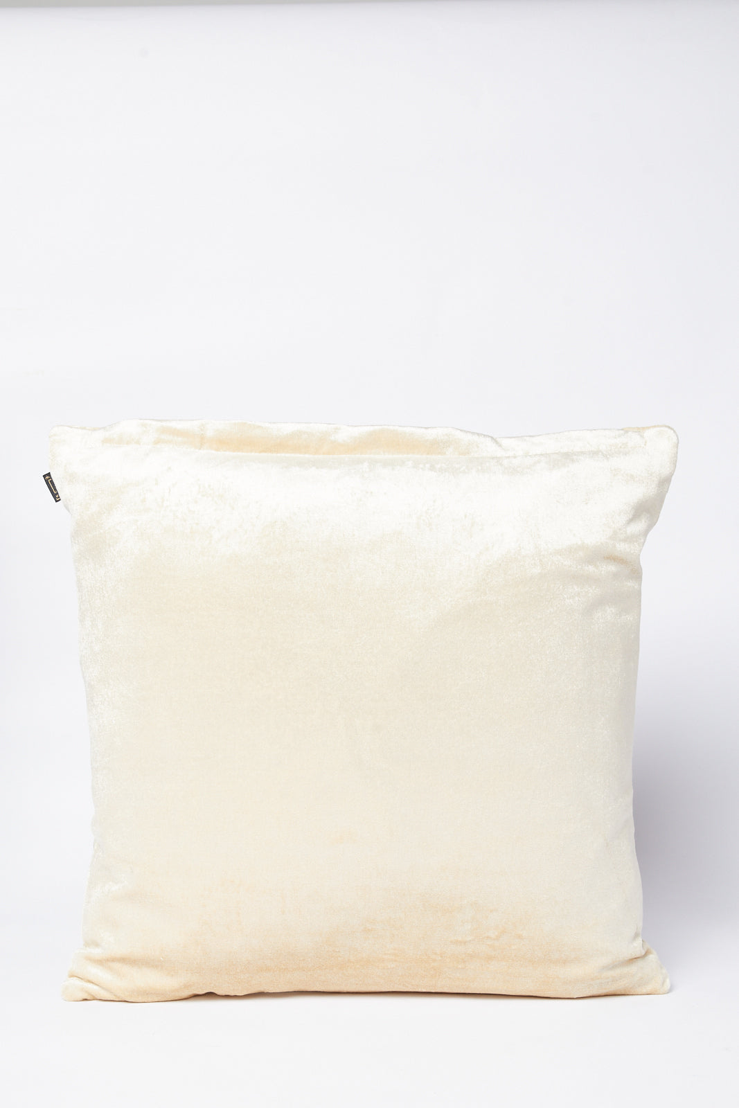 Redtag-Beige-Geometric/Floral-Embroidery-Velvet-Cushion-Category:Cushions,-Colour:Beige,-Deals:New-In,-Filter:Home-Bedroom,-HMW-BED-Cushions,-New-In-HMW-BED,-Non-Sale,-S23B,-Section:Homewares-Home-Bedroom-