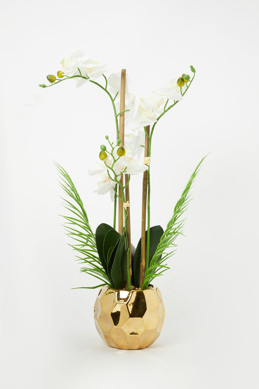 Redtag-Gold-Artificial-Orchids-In-Ceramic-Vase-Category:Plants-&-Flowers,-Colour:Grey,-Deals:New-In,-Filter:Home-Decor,-H1:HMW,-H2:HOM,-H3:DEA,-H4:VSS,-HMW-HOM-Decorative-Accessories,-New-In-HMW-HOM,-Non-Sale,-Promo:JULIETTE,-RMD,-S23B,-Season:S23B,-Section:Homewares,-Style:FLOWER-POT-Home-Decor-