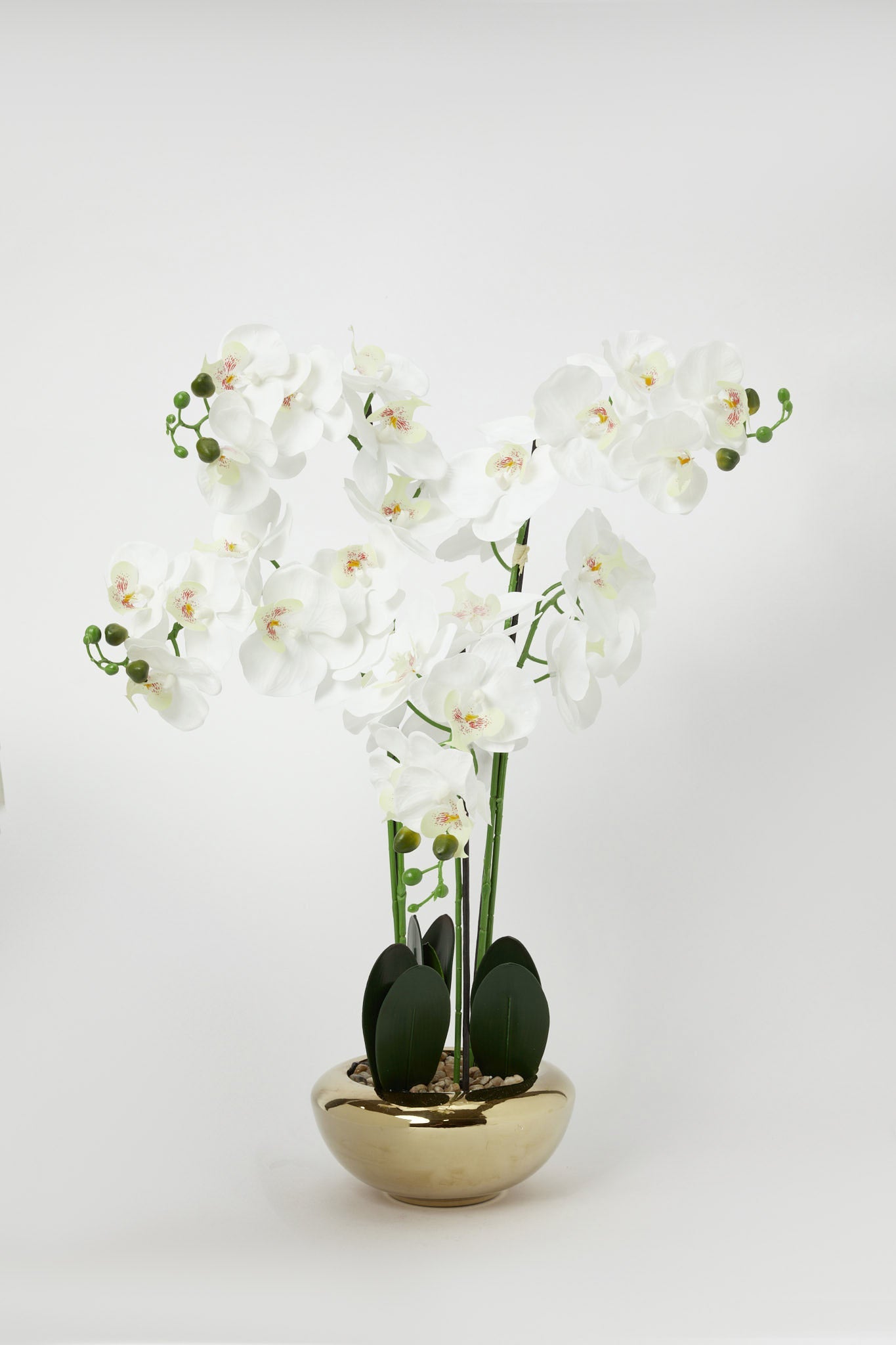 Redtag-Gold-Artificial-Orchids-In-Ceramic-Vase-Category:Plants-&-Flowers,-Colour:Gold,-Deals:New-In,-Filter:Home-Decor,-H1:HMW,-H2:HOM,-H3:DEA,-H4:VSS,-HMW-HOM-Decorative-Accessories,-New-In-HMW-HOM,-Non-Sale,-Promo:JULIETTE,-RMD,-S23B,-Season:S23B,-Section:Homewares,-Style:FLOWER-POT-Home-Decor-