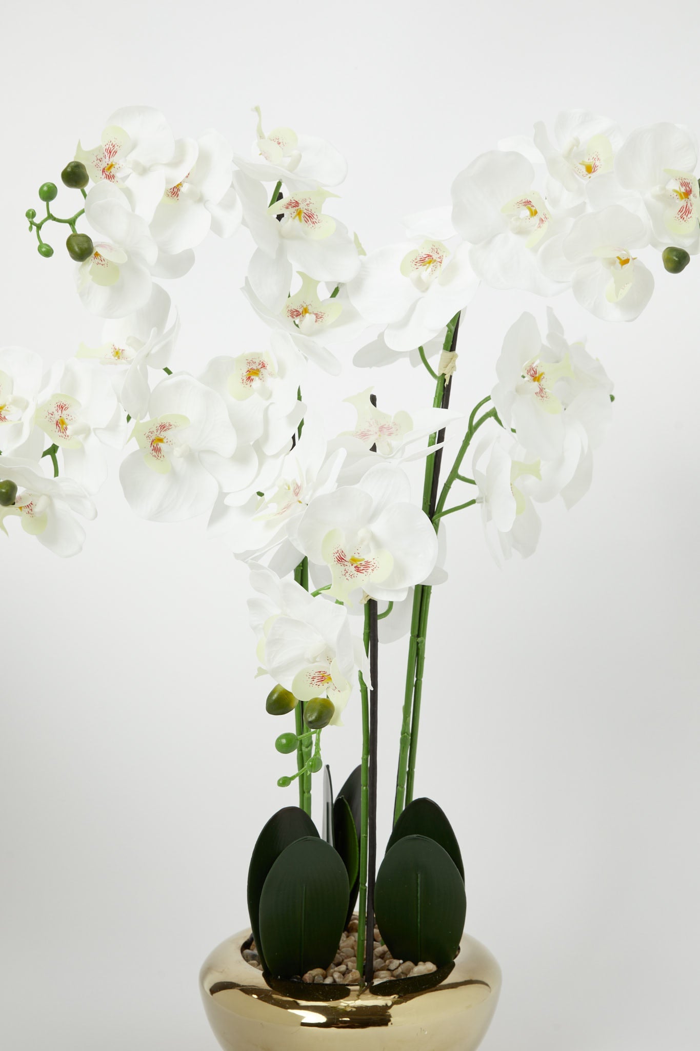 Redtag-Gold-Artificial-Orchids-In-Ceramic-Vase-Category:Plants-&-Flowers,-Colour:Gold,-Deals:New-In,-Filter:Home-Decor,-H1:HMW,-H2:HOM,-H3:DEA,-H4:VSS,-HMW-HOM-Decorative-Accessories,-New-In-HMW-HOM,-Non-Sale,-Promo:JULIETTE,-RMD,-S23B,-Season:S23B,-Section:Homewares,-Style:FLOWER-POT-Home-Decor-