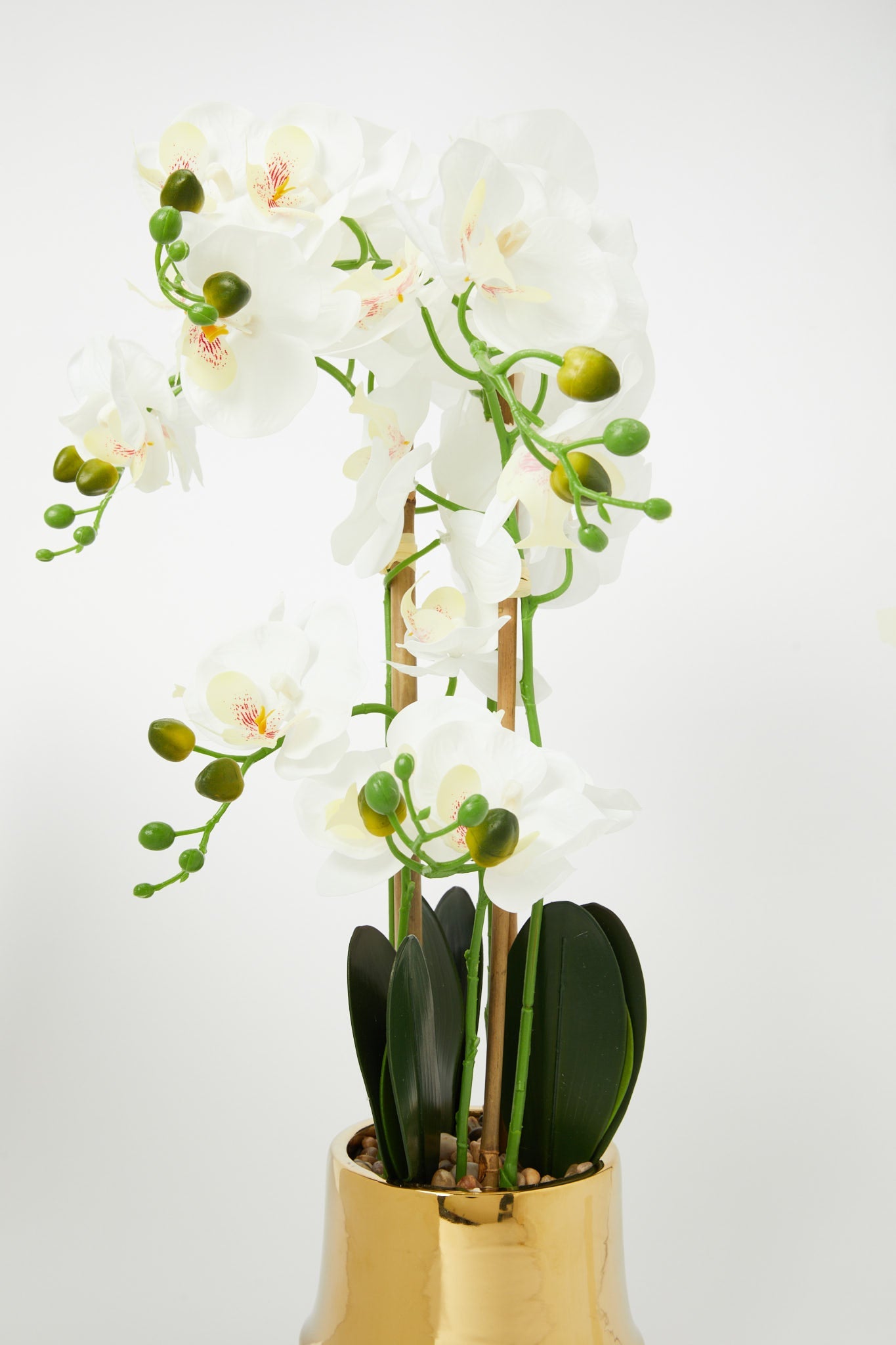 Redtag-Gold-Artificial-Orchids-In-Ceramic-Vase-Category:Plants-&-Flowers,-Colour:Gold,-Deals:New-In,-Filter:Home-Decor,-H1:HMW,-H2:HOM,-H3:DEA,-H4:VSS,-HMW-HOM-Decorative-Accessories,-New-In-HMW-HOM,-Non-Sale,-Promo:STELLA,-RMD,-S23B,-Season:S23B,-Section:Homewares,-Style:FLOWER-POT-Home-Decor-
