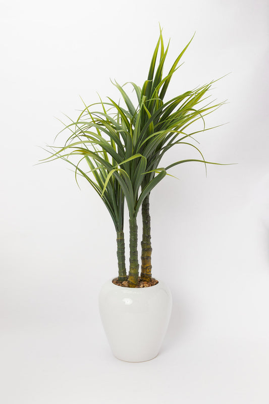 Redtag-Green-Artificial-Plant-In-Ceramic-Pot-(93Cm)-Category:Plants-&-Flowers,-Colour:Green,-Deals:New-In,-Filter:Home-Decor,-H1:HMW,-H2:HOM,-H3:DEA,-H4:VSS,-HMW-HOM-Decorative-Accessories,-New-In-HMW-HOM,-Non-Sale,-Promo:RIVA,-S23B,-Season:S23B,-Section:Homewares,-Style:BIG-PLANTS-Home-Decor-