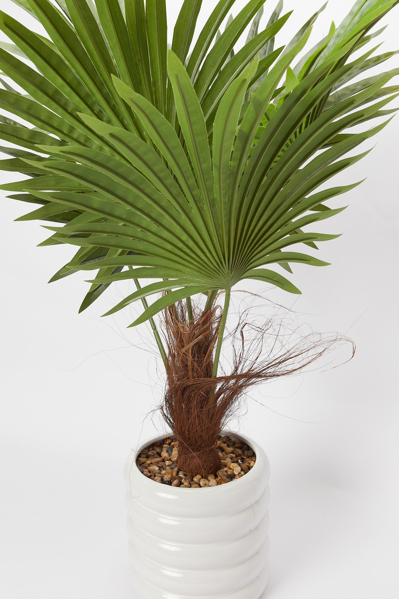 Redtag-Green-Artificial-Plant-In-Ceramic-Pot-(93Cm)-Category:Plants-&-Flowers,-Colour:Green,-Deals:New-In,-Filter:Home-Decor,-H1:HMW,-H2:HOM,-H3:DEA,-H4:VSS,-HMW-HOM-Decorative-Accessories,-New-In-HMW-HOM,-Non-Sale,-Promo:RIVA,-S23B,-Season:S23B,-Section:Homewares,-Style:BIG-PLANTS-Home-Decor-