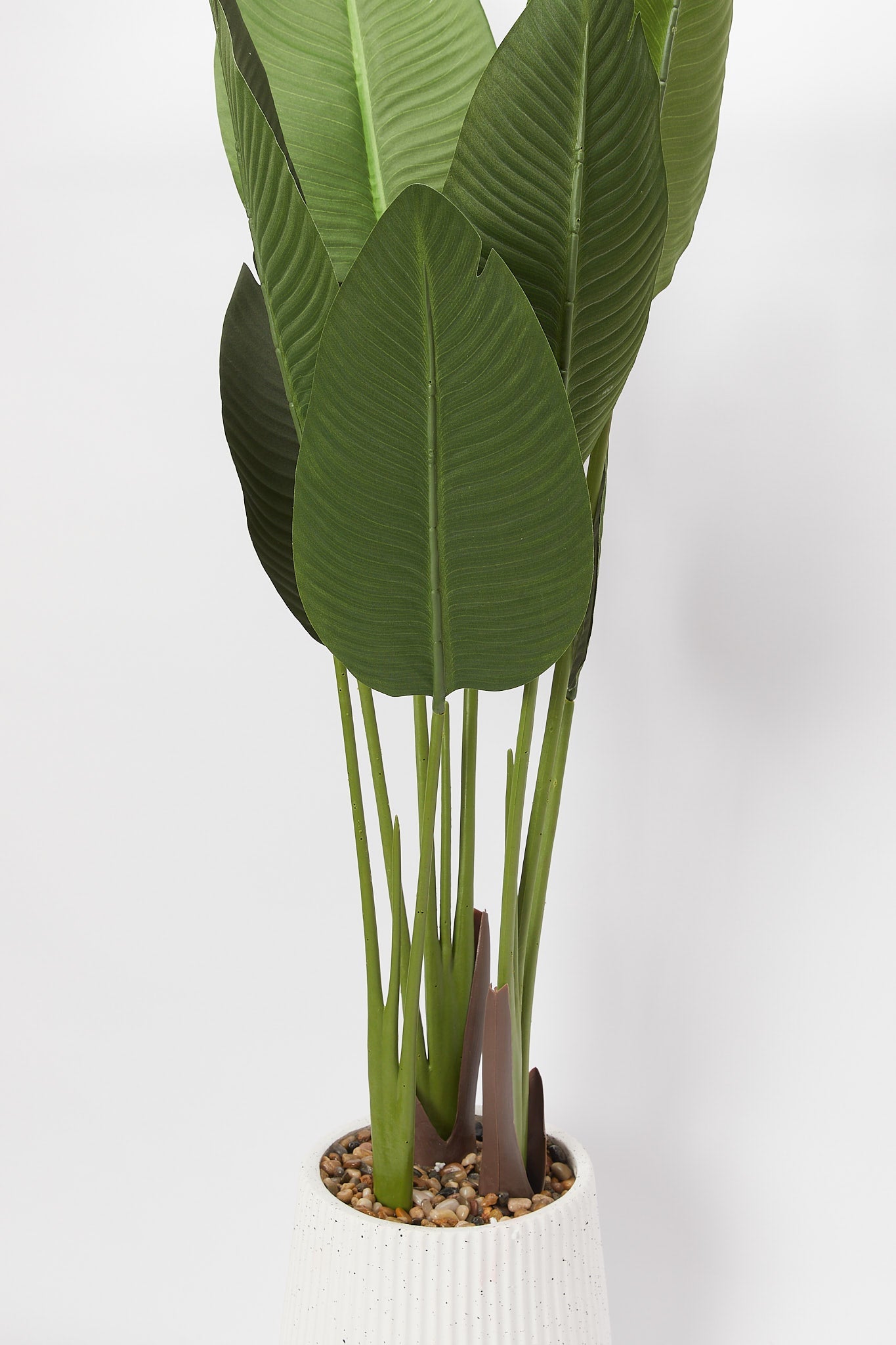 Redtag-Green-Artificial-Banana-Plant-In-Ribbed-Tall-Pot(120Cm)-Category:Plants-&-Flowers,-Colour:Green,-Deals:New-In,-Filter:Home-Decor,-H1:HMW,-H2:HOM,-H3:DEA,-H4:VSS,-HMW-HOM-Decorative-Accessories,-New-In-HMW-HOM,-Non-Sale,-Promo:STELLA,-S23B,-Season:S23B,-Section:Homewares,-Style:BIG-PLANTS-Home-Decor-