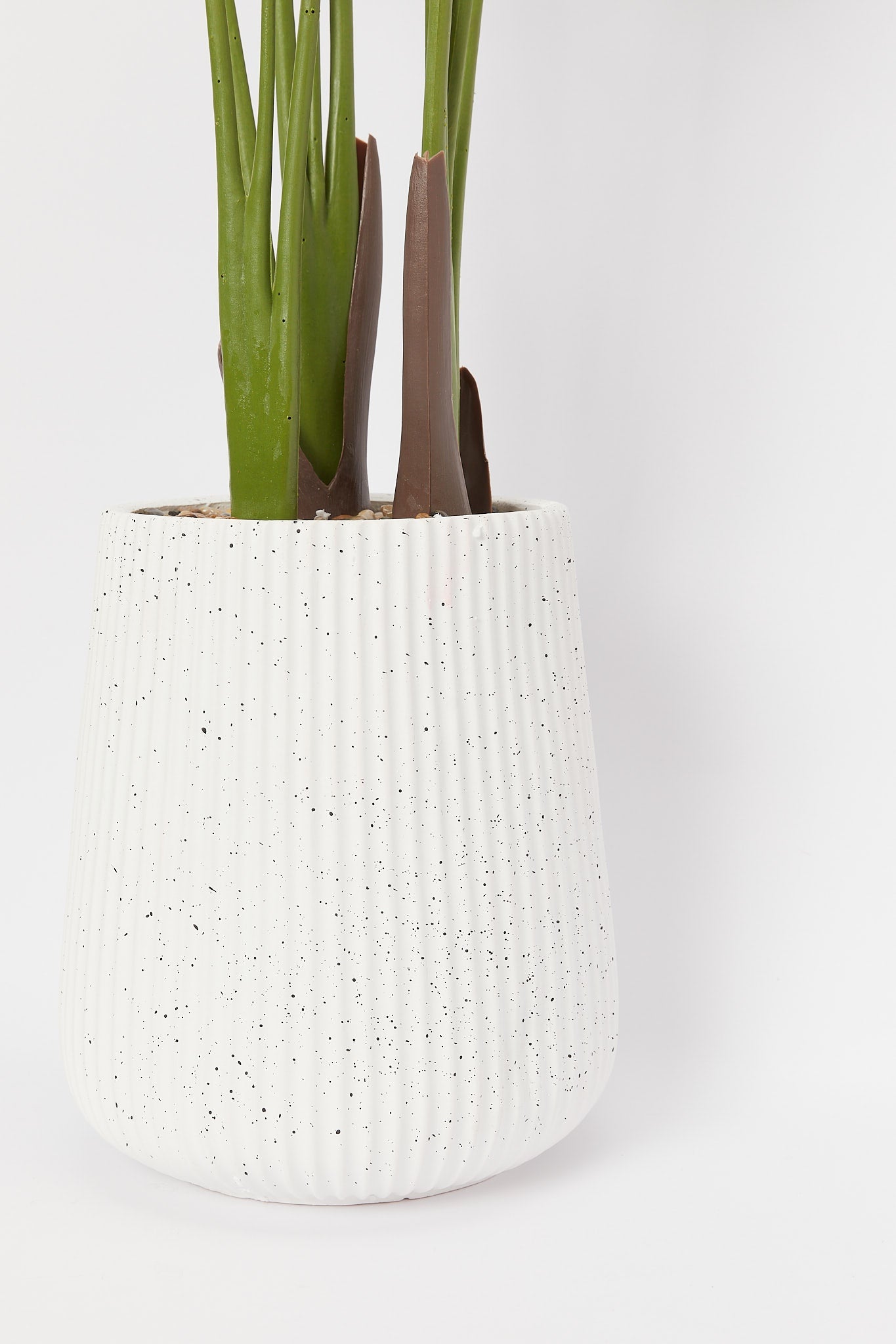 Redtag-Green-Artificial-Banana-Plant-In-Ribbed-Tall-Pot(120Cm)-Category:Plants-&-Flowers,-Colour:Green,-Deals:New-In,-Filter:Home-Decor,-H1:HMW,-H2:HOM,-H3:DEA,-H4:VSS,-HMW-HOM-Decorative-Accessories,-New-In-HMW-HOM,-Non-Sale,-Promo:STELLA,-S23B,-Season:S23B,-Section:Homewares,-Style:BIG-PLANTS-Home-Decor-