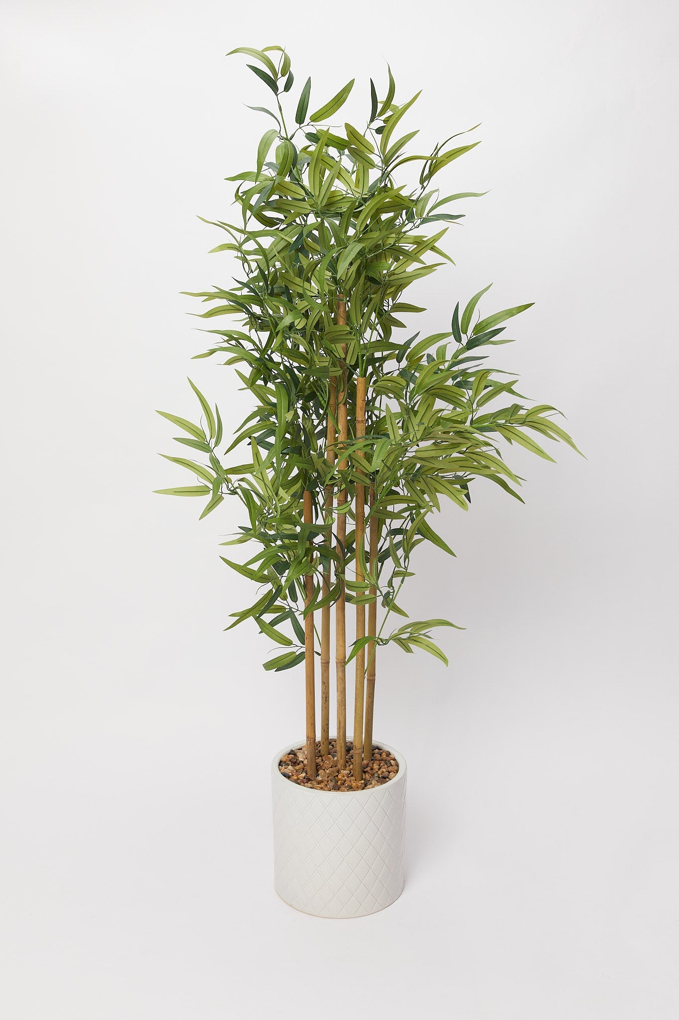Redtag-Green-Artificial-Bamboo-In-Ceramic-Pot-(140Cm)-Category:Plants-&-Flowers,-Colour:Green,-Deals:New-In,-Filter:Home-Decor,-H1:HMW,-H2:HOM,-H3:DEA,-H4:VSS,-HMW-HOM-Decorative-Accessories,-New-In-HMW-HOM,-Non-Sale,-Promo:STELLA,-S23B,-Season:S23B,-Section:Homewares,-Style:BIG-PLANTS-Home-Decor-