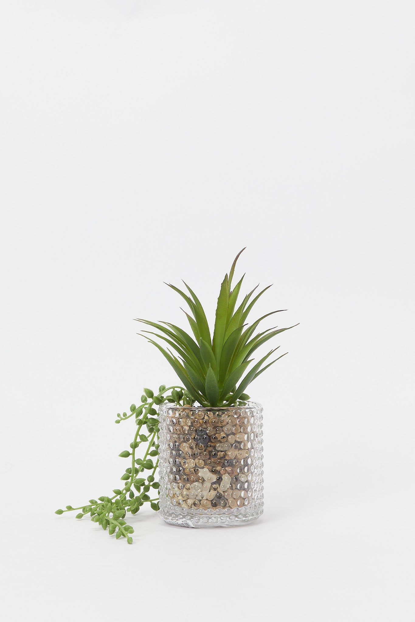 Redtag-Artificial-Creeper-Leaf-In-Texture-Glass-Pot-Category:Plants-&-Flowers,-Colour:Green,-Deals:New-In,-Filter:Home-Decor,-H1:HMW,-H2:HOM,-H3:DEA,-H4:DCA,-HMW-HOM-Decorative-Accessories,-New-In-HMW-HOM,-Non-Sale,-Promo:RIVA,-S23B,-Season:S23B,-Section:Homewares,-Style:ACCENT-FLOWER-Home-Decor-