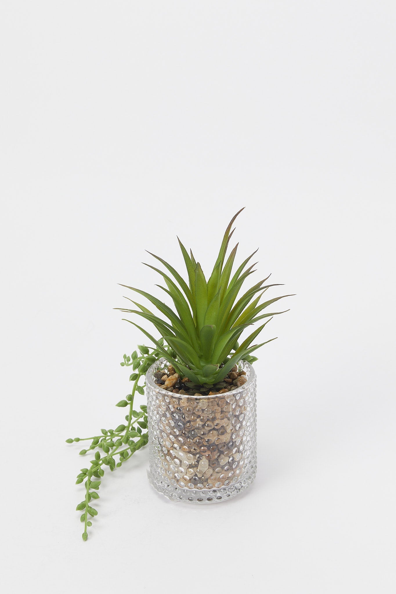 Redtag-Artificial-Creeper-Leaf-In-Texture-Glass-Pot-Category:Plants-&-Flowers,-Colour:Green,-Deals:New-In,-Filter:Home-Decor,-H1:HMW,-H2:HOM,-H3:DEA,-H4:DCA,-HMW-HOM-Decorative-Accessories,-New-In-HMW-HOM,-Non-Sale,-Promo:RIVA,-S23B,-Season:S23B,-Section:Homewares,-Style:ACCENT-FLOWER-Home-Decor-