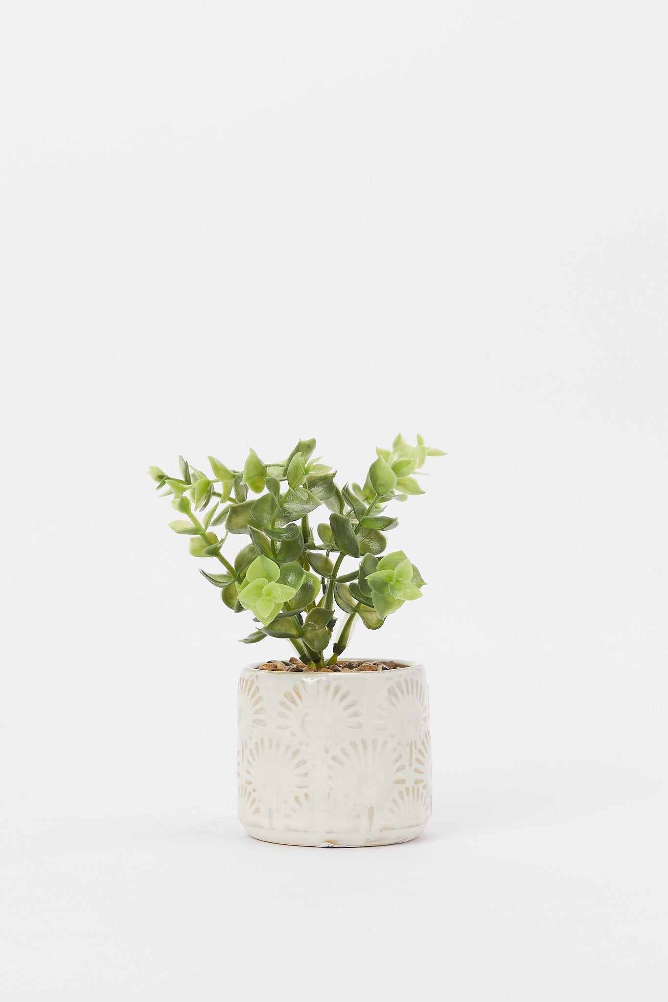 Redtag-Artificial-Cluster-Leaf-In-Ceramic-Embossed-Pot-Category:Plants-&-Flowers,-Colour:Green,-Deals:New-In,-Filter:Home-Decor,-H1:HMW,-H2:HOM,-H3:DEA,-H4:DCA,-HMW-HOM-Decorative-Accessories,-New-In-HMW-HOM,-Non-Sale,-Promo:JULIETTE,-S23B,-Season:S23B,-Section:Homewares,-Style:ACCENT-FLOWER-Home-Decor-