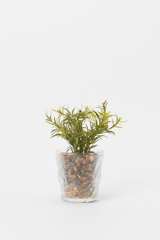 Redtag-Artificial-Decorative-Leaf-In-Colored-Glass-Pot-Category:Plants-&-Flowers,-Colour:Green,-Deals:New-In,-Filter:Home-Decor,-H1:HMW,-H2:HOM,-H3:DEA,-H4:DCA,-HMW-HOM-Decorative-Accessories,-New-In-HMW-HOM,-Non-Sale,-Promo:RIVA,-S23B,-Season:S23B,-Section:Homewares,-Style:ACCENT-FLOWER-Home-Decor-