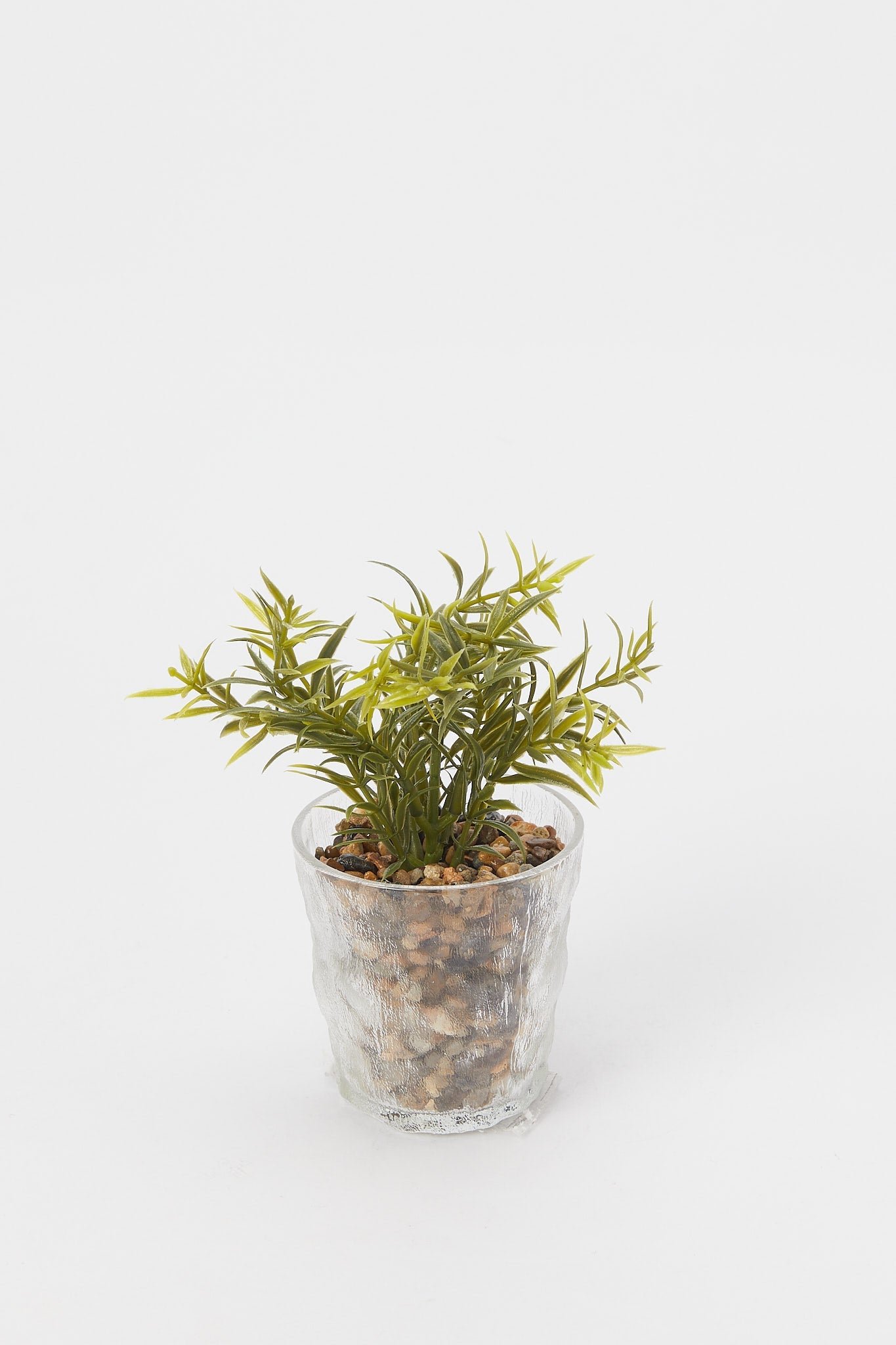Redtag-Artificial-Decorative-Leaf-In-Colored-Glass-Pot-Category:Plants-&-Flowers,-Colour:Green,-Deals:New-In,-Filter:Home-Decor,-H1:HMW,-H2:HOM,-H3:DEA,-H4:DCA,-HMW-HOM-Decorative-Accessories,-New-In-HMW-HOM,-Non-Sale,-Promo:RIVA,-S23B,-Season:S23B,-Section:Homewares,-Style:ACCENT-FLOWER-Home-Decor-