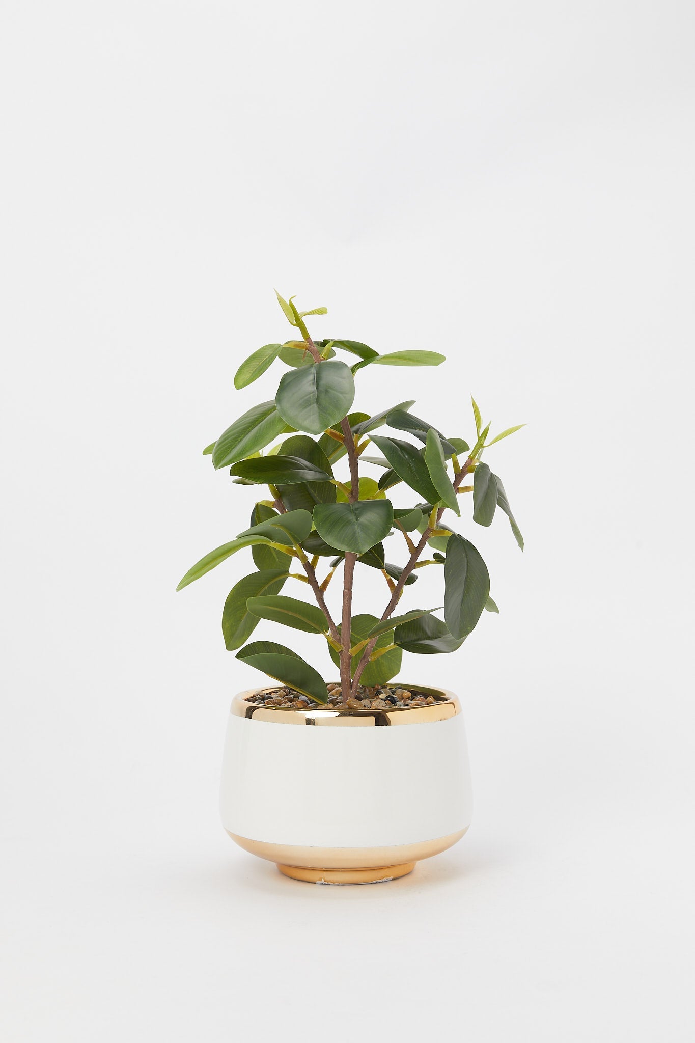 Redtag-Artificial-Leaf-In-Gold-Border-Ceramic-Pot-Category:Plants-&-Flowers,-Colour:Green,-Deals:New-In,-Filter:Home-Decor,-H1:HMW,-H2:HOM,-H3:DEA,-H4:DCA,-HMW-HOM-Decorative-Accessories,-New-In-HMW-HOM,-Non-Sale,-Promo:RIVA,-S23B,-Season:S23B,-Section:Homewares,-Style:ACCENT-FLOWER-Home-Decor-