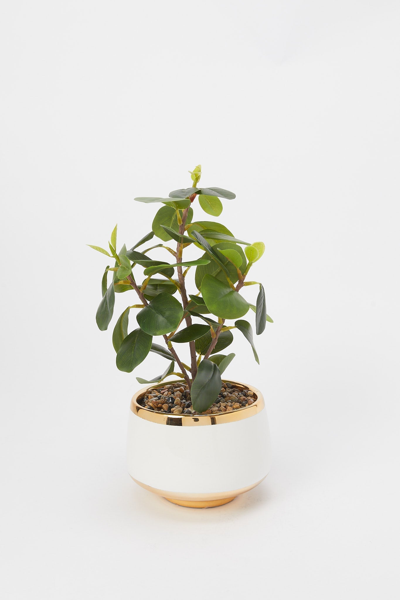 Redtag-Artificial-Leaf-In-Gold-Border-Ceramic-Pot-Category:Plants-&-Flowers,-Colour:Green,-Deals:New-In,-Filter:Home-Decor,-H1:HMW,-H2:HOM,-H3:DEA,-H4:DCA,-HMW-HOM-Decorative-Accessories,-New-In-HMW-HOM,-Non-Sale,-Promo:RIVA,-S23B,-Season:S23B,-Section:Homewares,-Style:ACCENT-FLOWER-Home-Decor-