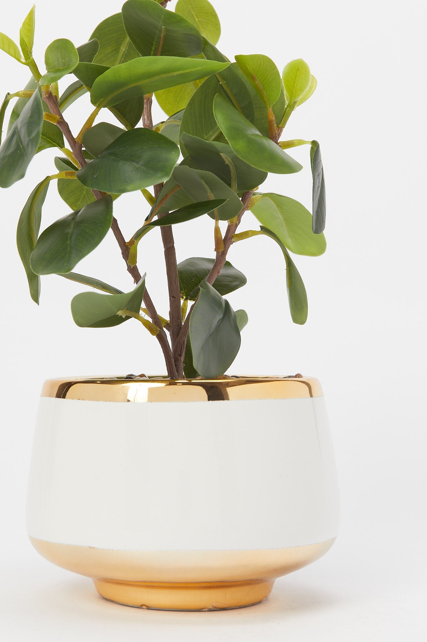 Redtag-Artificial-Leaf-In-Gold-Border-Ceramic-Pot-Category:Plants-&-Flowers,-Colour:Green,-Deals:New-In,-Filter:Home-Decor,-H1:HMW,-H2:HOM,-H3:DEA,-H4:DCA,-HMW-HOM-Decorative-Accessories,-New-In-HMW-HOM,-Non-Sale,-Promo:RIVA,-S23B,-Season:S23B,-Section:Homewares,-Style:ACCENT-FLOWER-Home-Decor-