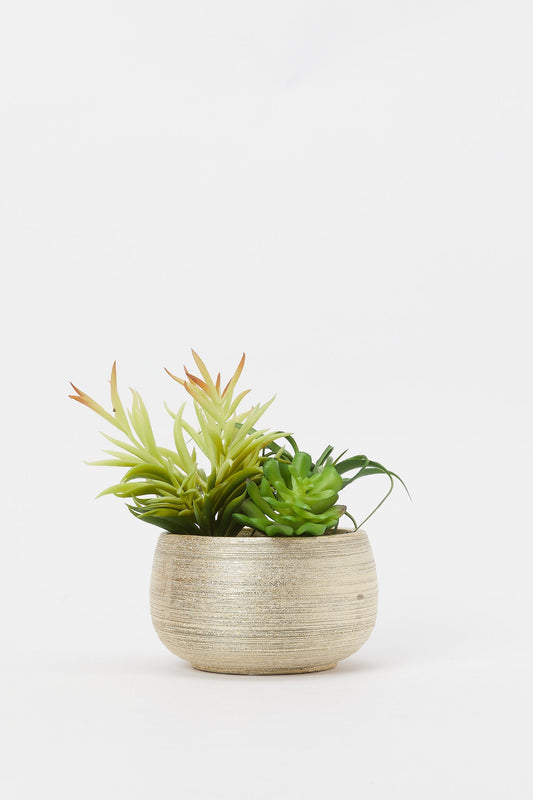 Redtag-Artificial-Cluster-Plant-In-Golden-Texture-Pot-Category:Plants-&-Flowers,-Colour:Green,-Deals:New-In,-Filter:Home-Decor,-H1:HMW,-H2:HOM,-H3:DEA,-H4:DCA,-HMW-HOM-Decorative-Accessories,-New-In-HMW-HOM,-Non-Sale,-Promo:JULIETTE,-S23B,-Season:S23B,-Section:Homewares,-Style:ACCENT-FLOWER-Home-Decor-