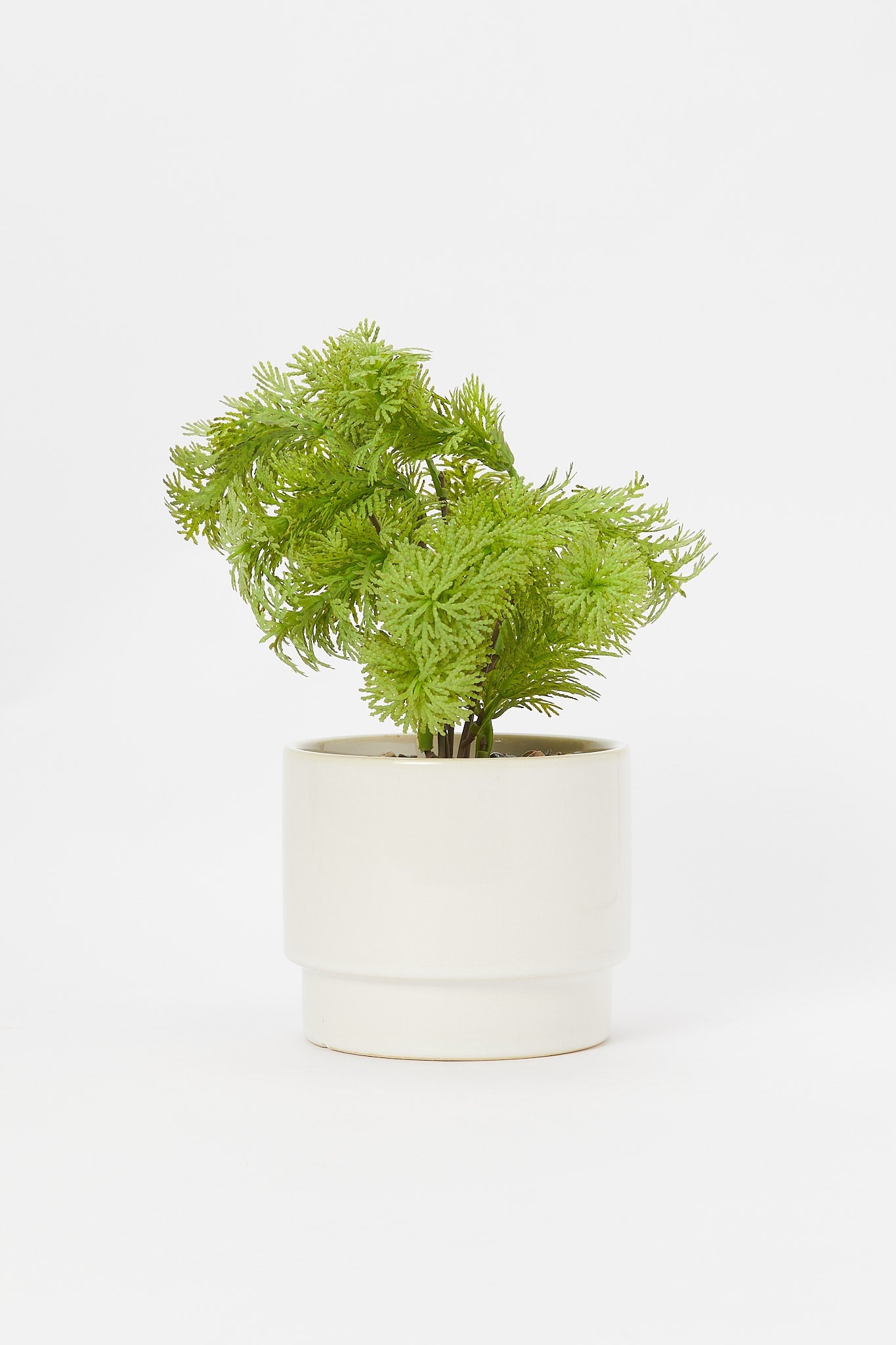 Redtag-Artificial-Plant-In-Green-Ceramic-Pot-Category:Plants-&-Flowers,-Colour:Green,-Deals:New-In,-Filter:Home-Decor,-H1:HMW,-H2:HOM,-H3:DEA,-H4:DCA,-HMW-HOM-Decorative-Accessories,-New-In-HMW-HOM,-Non-Sale,-Promo:JULIETTE,-S23B,-Season:S23B,-Section:Homewares,-Style:TABLE-PLANTS-Home-Decor-