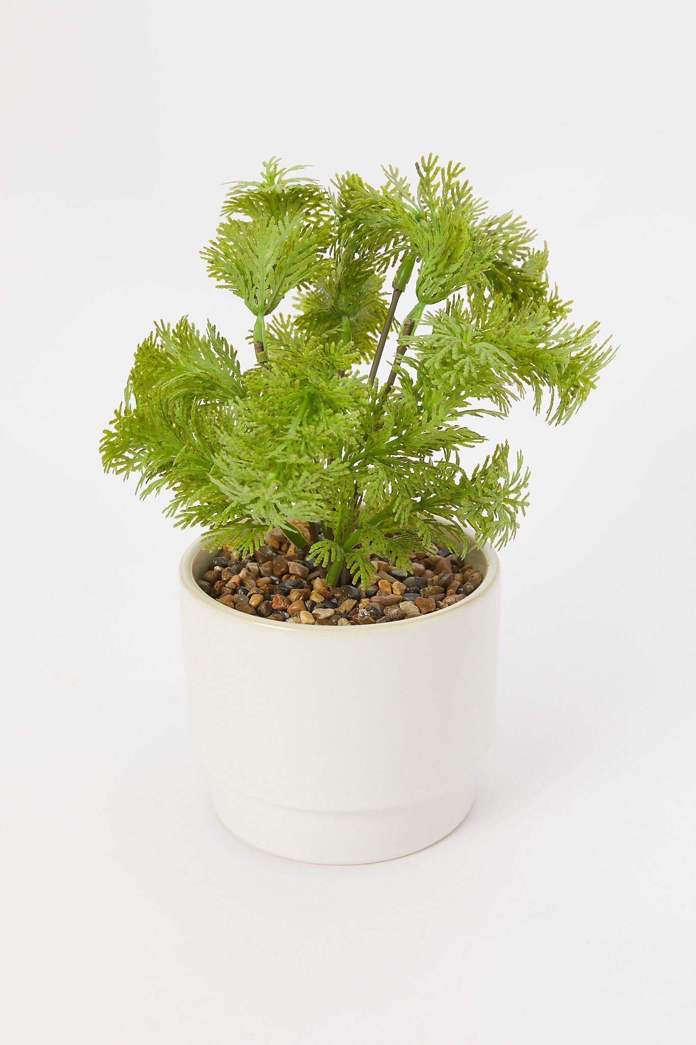 Redtag-Artificial-Plant-In-Green-Ceramic-Pot-Category:Plants-&-Flowers,-Colour:Green,-Deals:New-In,-Filter:Home-Decor,-H1:HMW,-H2:HOM,-H3:DEA,-H4:DCA,-HMW-HOM-Decorative-Accessories,-New-In-HMW-HOM,-Non-Sale,-Promo:JULIETTE,-S23B,-Season:S23B,-Section:Homewares,-Style:TABLE-PLANTS-Home-Decor-