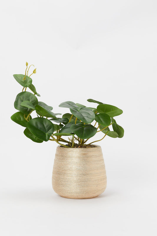 Redtag-Artificial-Creeper-Plant-In-Ceramic-Gold-Texture-Pot-Category:Plants-&-Flowers,-Colour:Gold,-Deals:New-In,-Filter:Home-Decor,-H1:HMW,-H2:HOM,-H3:DEA,-H4:DCA,-HMW-HOM-Decorative-Accessories,-New-In-HMW-HOM,-Non-Sale,-Promo:RIVA,-S23B,-Season:S23B,-Section:Homewares,-Style:TABLE-PLANTS-Home-Decor-