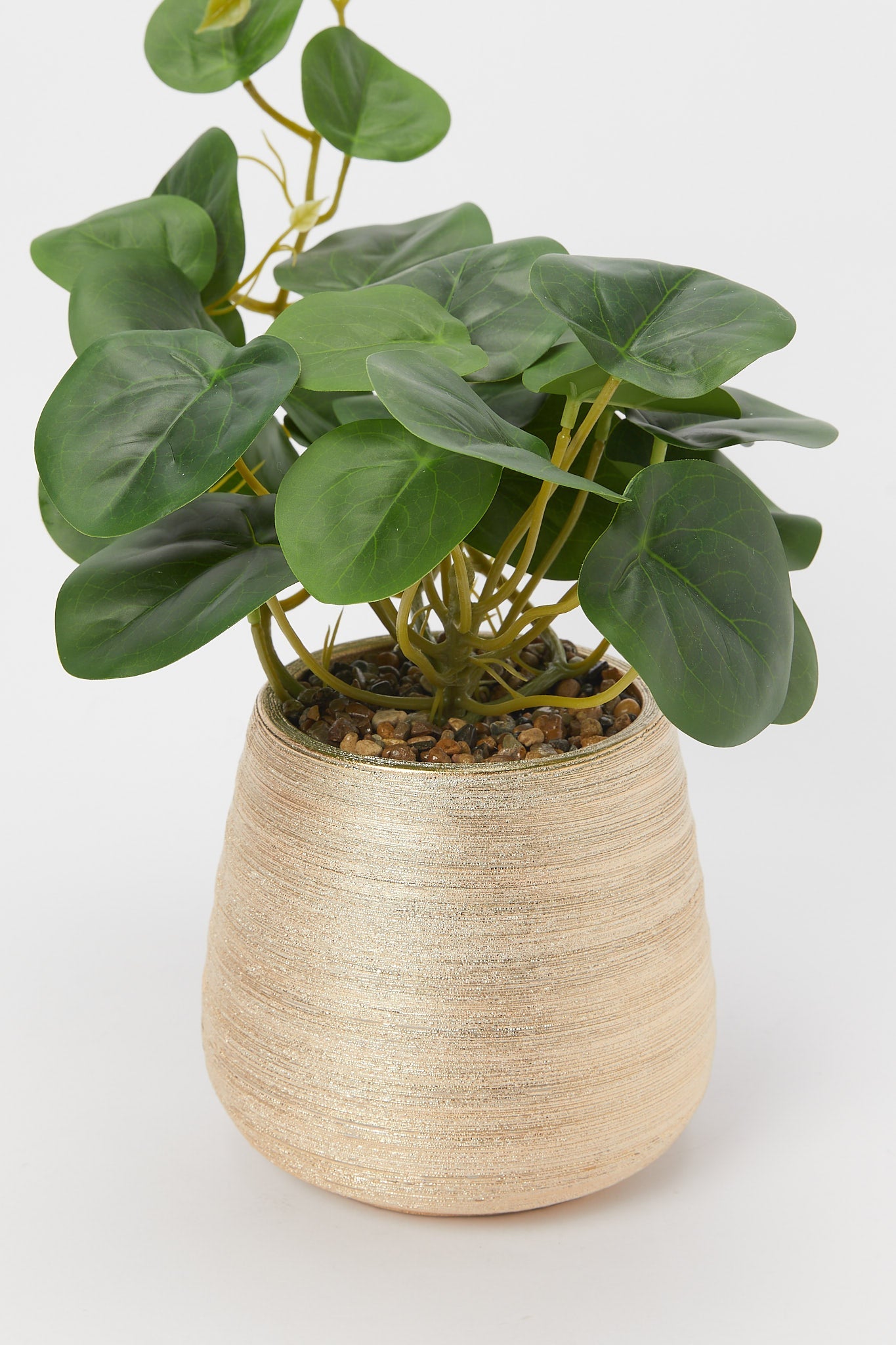 Redtag-Artificial-Creeper-Plant-In-Ceramic-Gold-Texture-Pot-Category:Plants-&-Flowers,-Colour:Gold,-Deals:New-In,-Filter:Home-Decor,-H1:HMW,-H2:HOM,-H3:DEA,-H4:DCA,-HMW-HOM-Decorative-Accessories,-New-In-HMW-HOM,-Non-Sale,-Promo:RIVA,-S23B,-Season:S23B,-Section:Homewares,-Style:TABLE-PLANTS-Home-Decor-