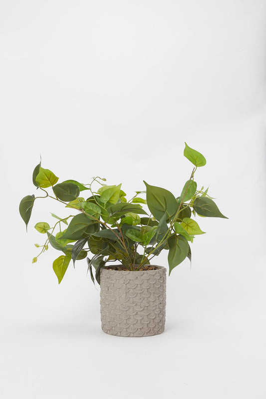 Redtag-Artificial-Creeper-Plant-In-Ceramic-Texture-Pot-Category:Plants-&-Flowers,-Colour:White,-Deals:New-In,-Filter:Home-Decor,-H1:HMW,-H2:HOM,-H3:DEA,-H4:DCA,-HMW-HOM-Decorative-Accessories,-New-In-HMW-HOM,-Non-Sale,-Promo:JULIETTE,-S23B,-Season:S23B,-Section:Homewares,-Style:TABLE-PLANTS-Home-Decor-