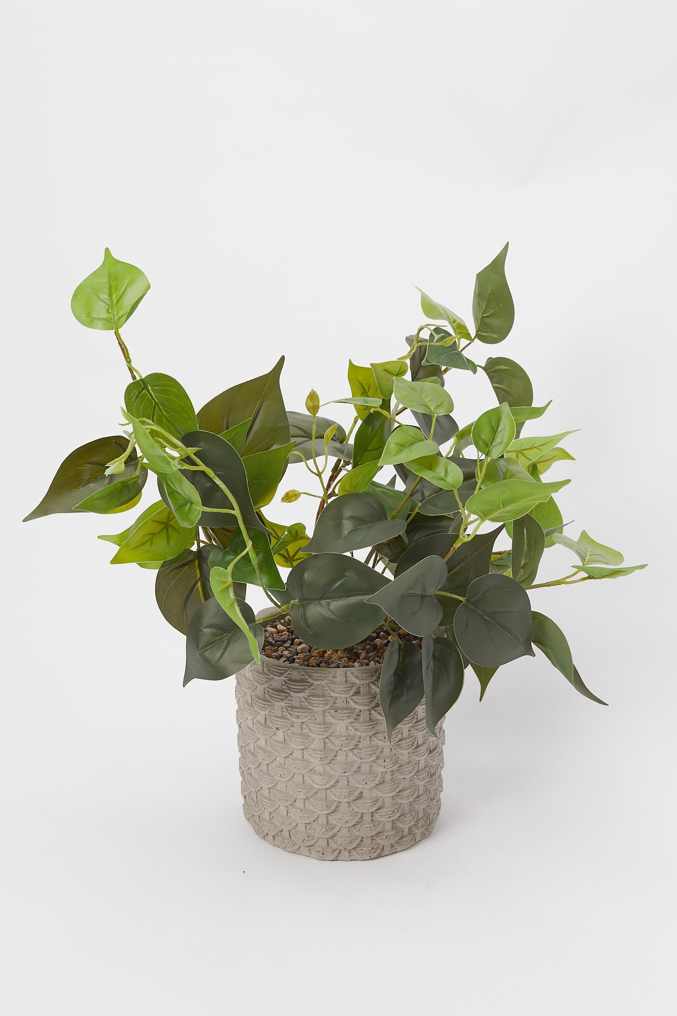 Redtag-Artificial-Creeper-Plant-In-Ceramic-Texture-Pot-Category:Plants-&-Flowers,-Colour:White,-Deals:New-In,-Filter:Home-Decor,-H1:HMW,-H2:HOM,-H3:DEA,-H4:DCA,-HMW-HOM-Decorative-Accessories,-New-In-HMW-HOM,-Non-Sale,-Promo:JULIETTE,-S23B,-Season:S23B,-Section:Homewares,-Style:TABLE-PLANTS-Home-Decor-
