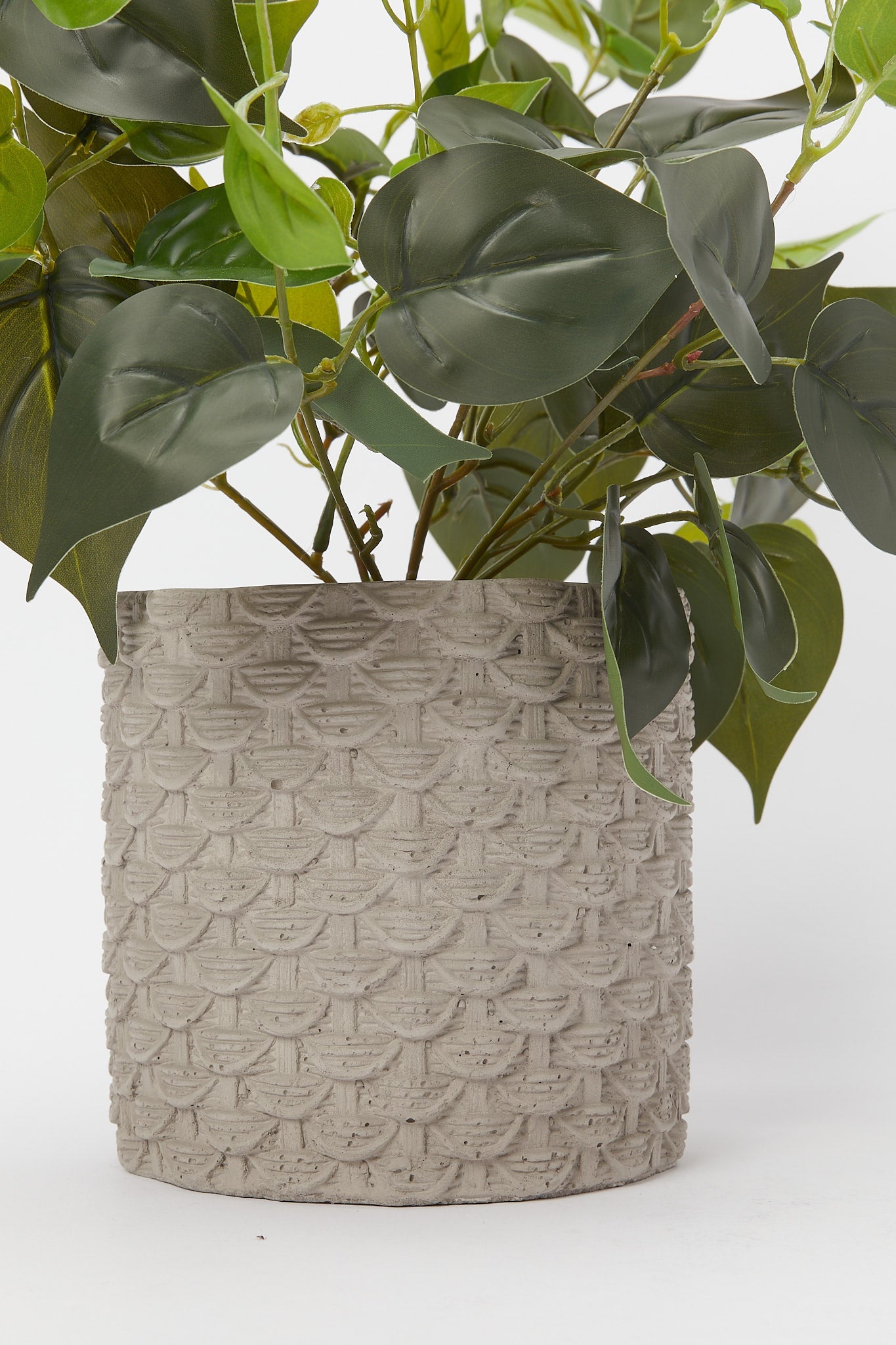 Redtag-Artificial-Creeper-Plant-In-Ceramic-Texture-Pot-Category:Plants-&-Flowers,-Colour:White,-Deals:New-In,-Filter:Home-Decor,-H1:HMW,-H2:HOM,-H3:DEA,-H4:DCA,-HMW-HOM-Decorative-Accessories,-New-In-HMW-HOM,-Non-Sale,-Promo:JULIETTE,-S23B,-Season:S23B,-Section:Homewares,-Style:TABLE-PLANTS-Home-Decor-